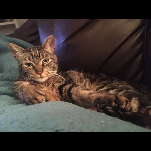 Meet your Posher, Jenny - Picture 7 of 7